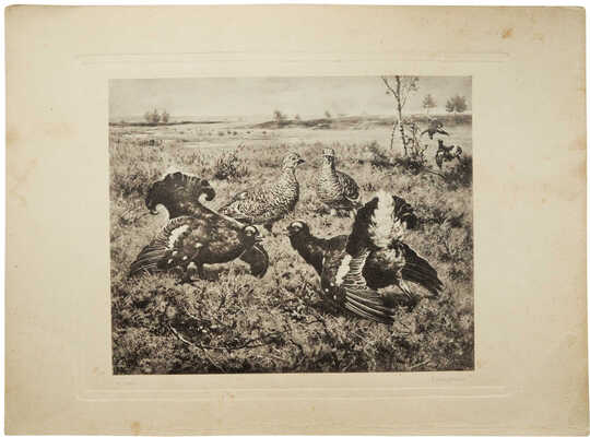 Неизвестный художник (Е. Реф). Соперники